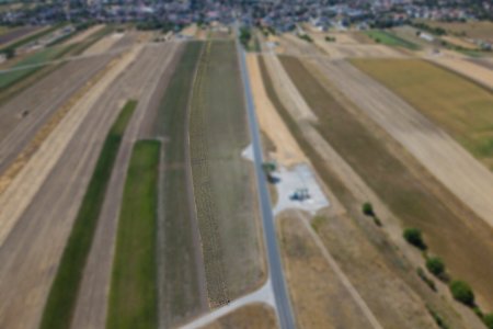Landwirtschaftliches Grundstück in der KG Auersthal - 4777m2