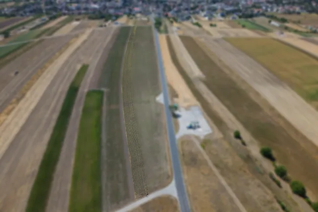 Landwirtschaftliches Grundstück in der KG Auersthal - 4777m2 - Titelbild