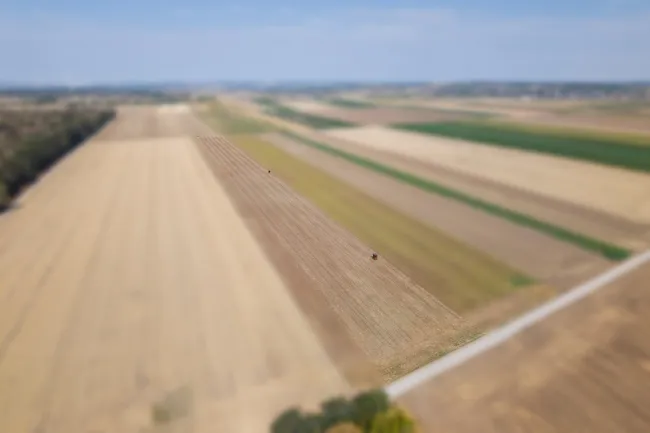 Landwirtschaftliches Grundstück in der KG Großengersdorf - 27952m2 - Titelbild