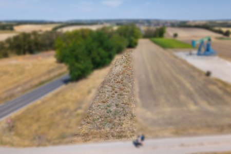 Landwirtschaftliches Grundstück in der KG Auersthal - 744m2