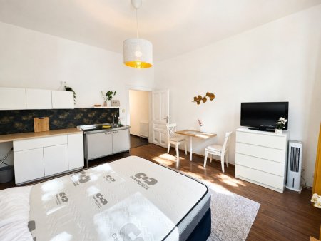 Möblierte Altbauwohnung in Toplage nahe AKH