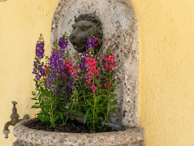 Wandbrunnen im Garten