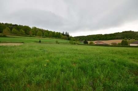 Beinahe 5.900 m² - BAUGRUNDSTÜCK am Ortsrand in toller Lage