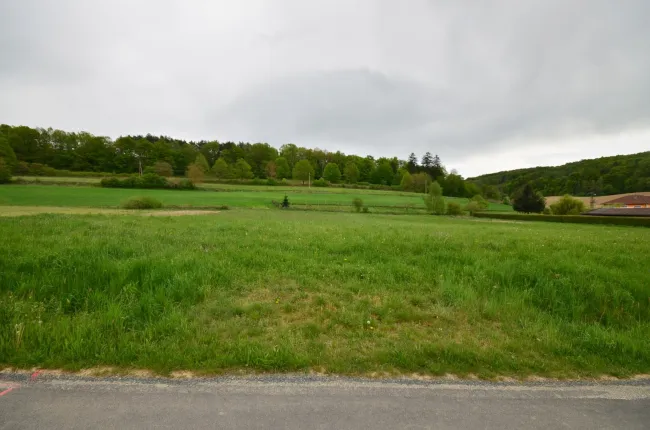 Beinahe 5.900 m² - BAUGRUNDSTÜCK am Ortsrand in toller Lage - Bild