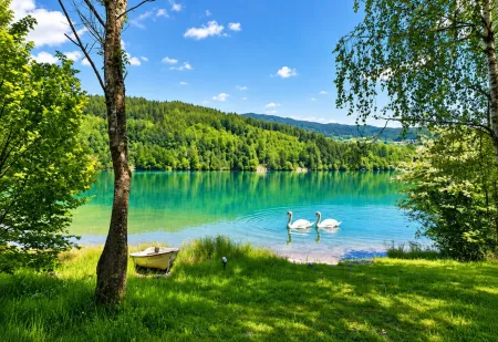 Bild vom See