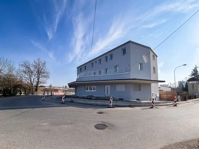 Top saniertes Zinshaus in Ansfelden – 519 m² Wohnfläche & attraktives Renditepotenzial ZU KAUFEN - Titelbild