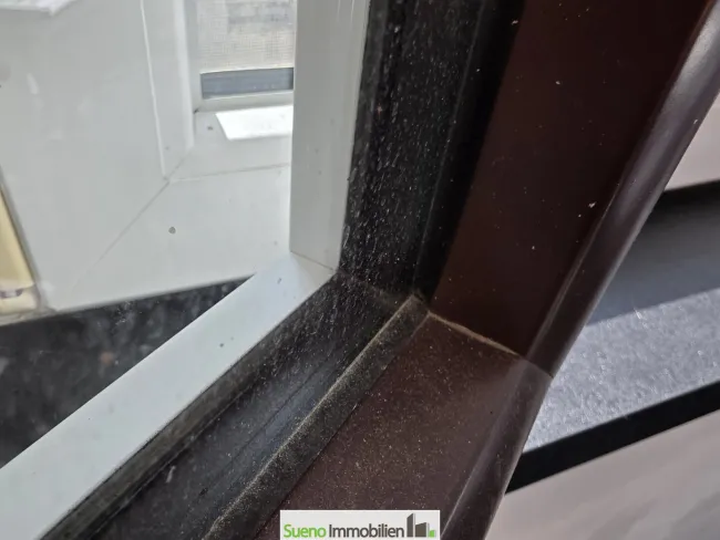 Fenster