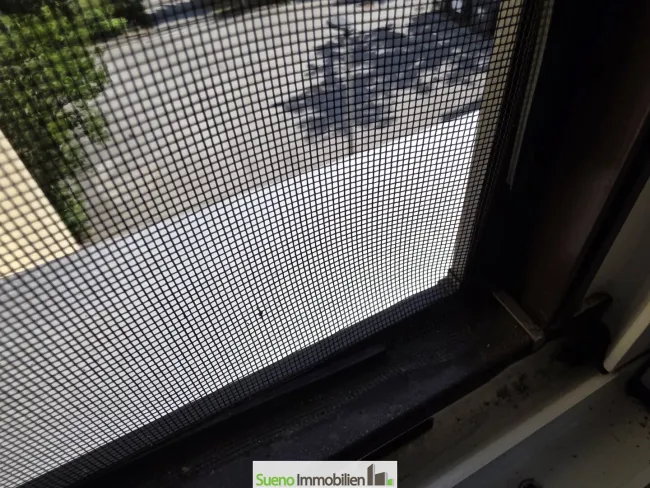 Insektenschutz in der Wohnung