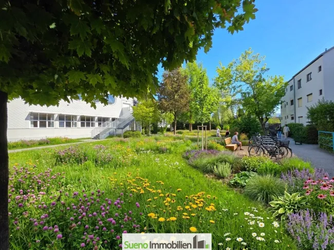 Visualisierung Garten-Bepflanzung