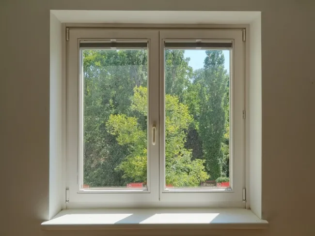 Ausblick