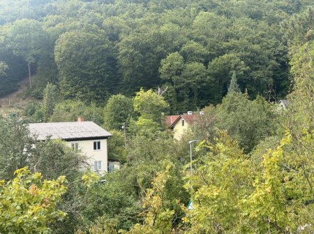 1.076 m² Baugrundstück in Weißenbach bei Mödling