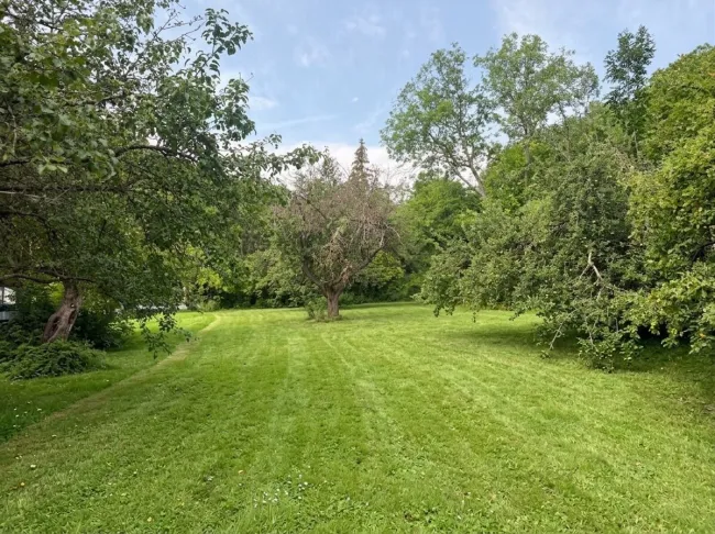 1.076 m² Baugrundstück in Weißenbach bei Mödling - Titelbild