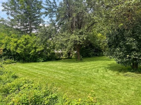 1.076 m² Baugrundstück in Weißenbach bei Mödling