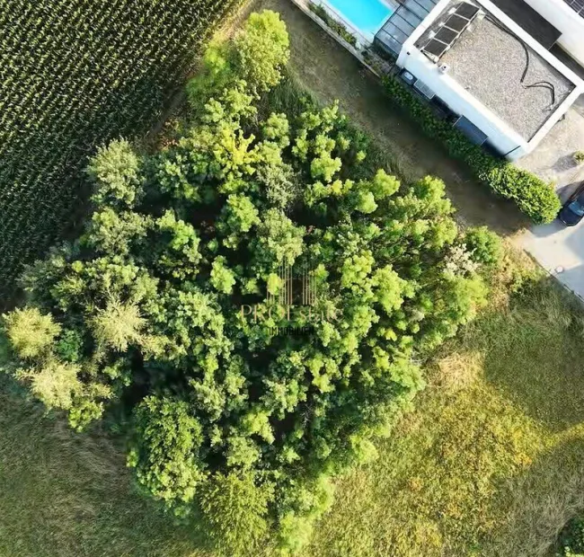 Attraktives Wohnprojekt mit 4 oder mehr Wohneinheiten in ruhiger, grüner Lage in Thalheim! - Sackgasse! - Bild