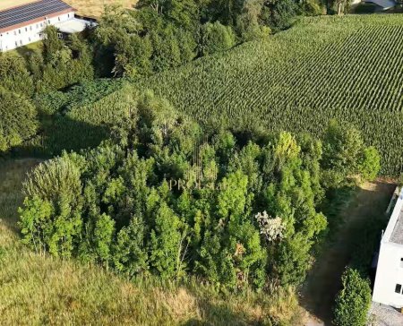 Attraktives Wohnprojekt mit 4 oder mehr Wohneinheiten in ruhiger, grüner Lage in Thalheim! - Sackgasse!