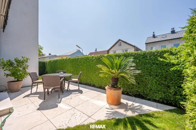 Garten & Palme
