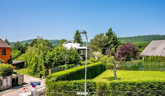 Ausblick ins Grüne