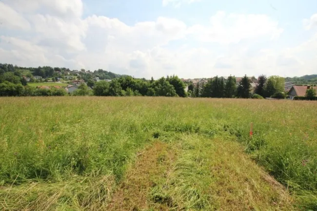1227 m² Grundstück in einer ruhigen Siedlung in 4760 Raab zu kaufen - Titelbild