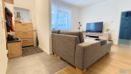 Vorzimmer / Wohnbereich