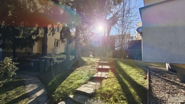 Gemeinschaftsgarten