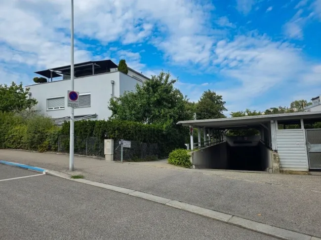 Allgemeiner Zugangsbereich bzw. TG Einfahrtsbereich zum Haus