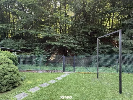 Weg zum Wald