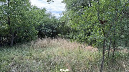 Großes Baugrundstück 2.676 m² in Bad Tatzmannsdorf – mit Brunnen, Natur pur!