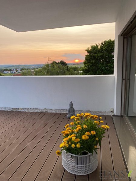Neuwertiges Mehrfamilienhaus in Neusiedl am See – 20 Zimmer, Garten, Garage, Top Ausstattung!