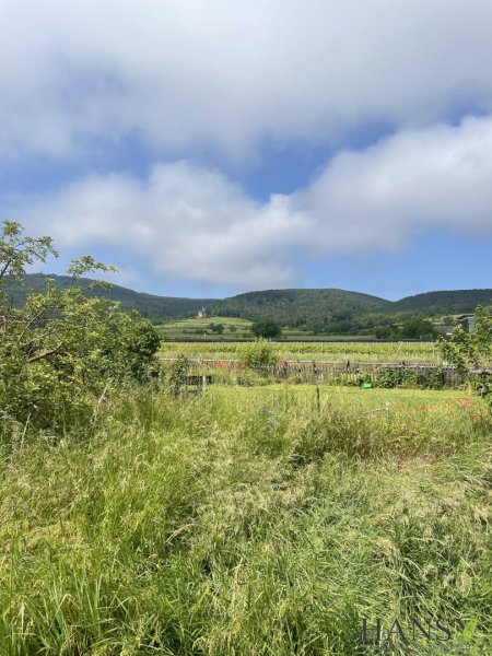 Großes Baugrundstück 2059 m² in 2504 Sooß – Ihr Traum-Eigenheim in NÖ!