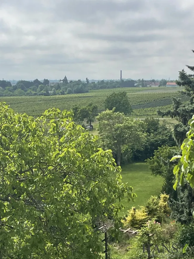 Großes Baugrundstück 2059 m² in 2504 Sooß – Ihr Traum-Eigenheim in NÖ! - Titelbild