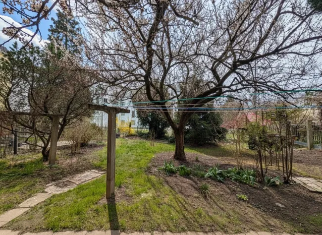 Allgemeiner Garten zur Nutzung im Innenhof