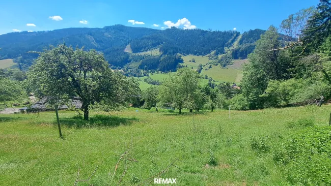 Sonniges Baugrundstück in Panoramalage Nähe LKH Bruck/Mur - Titelbild