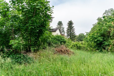 Nutzen Sie die Chance: Baugrund in Linz für Ihr Traumhaus!