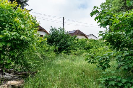 Nutzen Sie die Chance: Baugrund in Linz für Ihr Traumhaus!