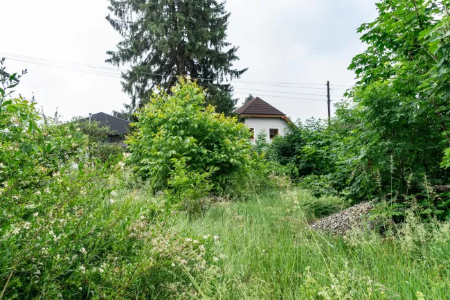 Ideales Baugrundstück in Linz – Der perfekte Platz für Ihr Traumhaus! - Bild