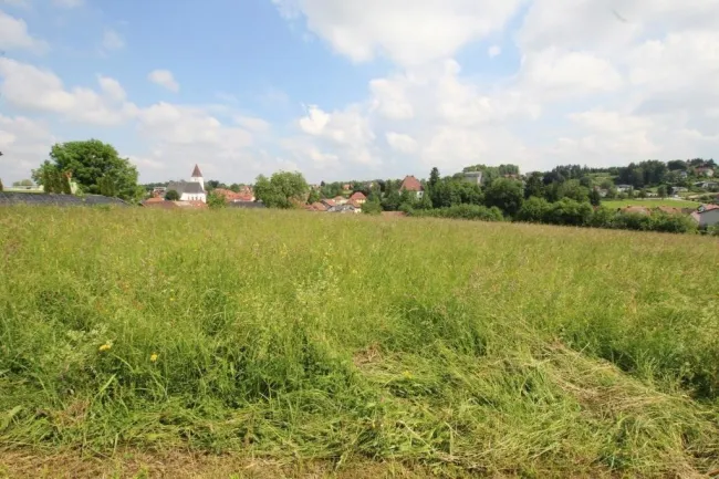 3662 m² Grundstück in 4760 Raab zu kaufen!! - Bild