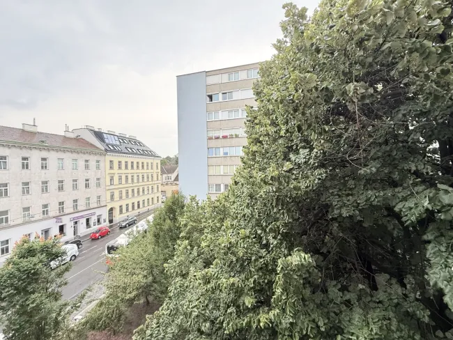 Blick vom Wohnzimmer