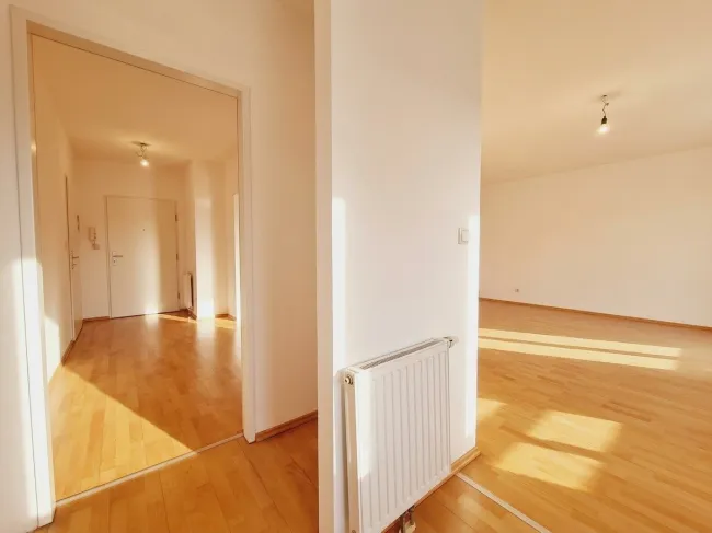 Wohnzimmer, / Abstellraum - Speis / Vorzimmer