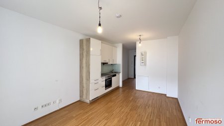 1-Zimmer-Wohnung mit Loggia – urban & ruhig in Graz