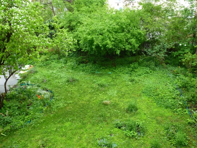 Kleiner Hausgarten zur Mitbenützung
