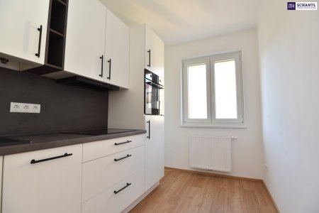 TOP-GELEGENHEIT! Liebevoll sanierte 2-Zimmer Wohnung mit Balkon - Erstbezug nach Sanierung!
