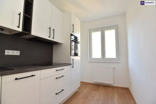 TOP-GELEGENHEIT! Liebevoll sanierte 2-Zimmer Wohnung mit Balkon - Erstbezug nach Sanierung! - Bild