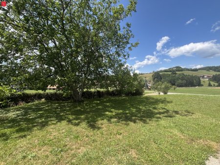Bauland mit schönem Grün-Weitblick