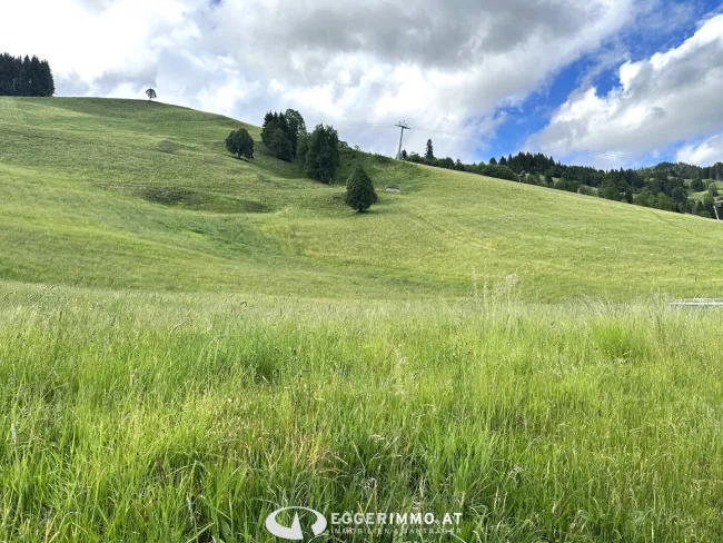 5754 Hinterglemm: Baugrundstück für Naturliebhaber und Ski-Enthusiasten! 700m² sonniges Baugrundstück, neben der Hochalmbahn in Hinterglemm - Titelbild