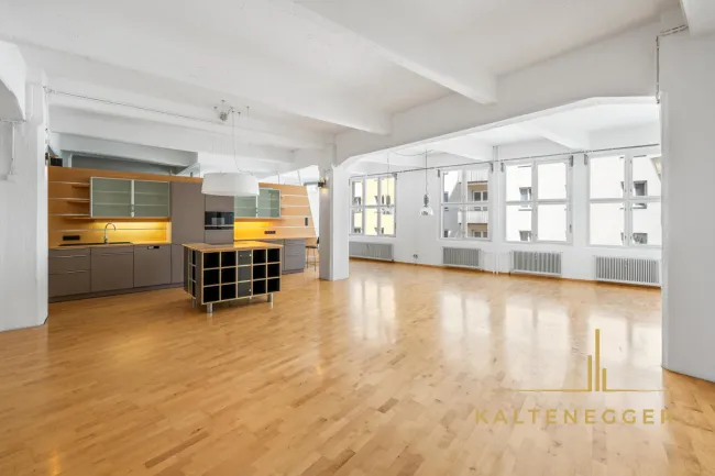 LOFT MIT CHARAKTER – 170m² Atelierwohnung mit 40m² Terrasse, 42m² Keller/Werkstatt, Kamin & eigenem Lift - Titelbild