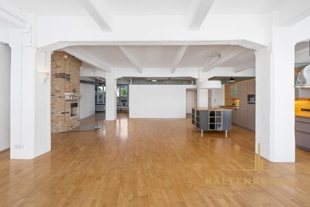 LOFT MIT CHARAKTER – 170m² Atelierwohnung mit 40m² Terrasse, 42m² Keller/Werkstatt, Kamin & eigenem Lift