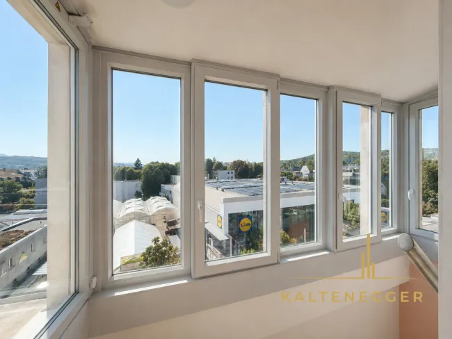 Verglaster Stiegenaufgang zur Penthouse-Ebene (zusätzlich Lift in Wohnung)