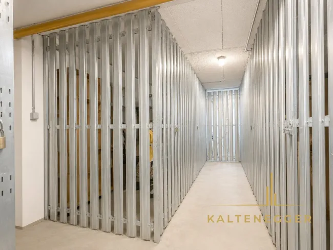 Kellerabteil im UG - mit Lift erreichbar