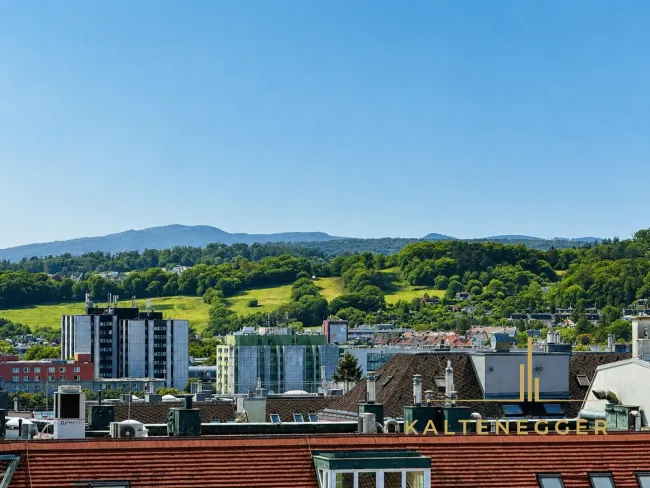 Weitblick über Wien bis zur grünen Hügellandschaft