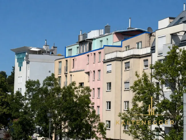 Wohnung mit blauer Linie markiert